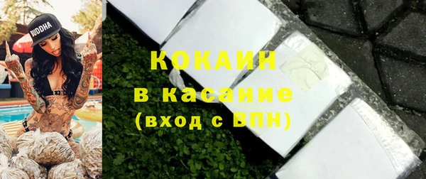шишки Покачи